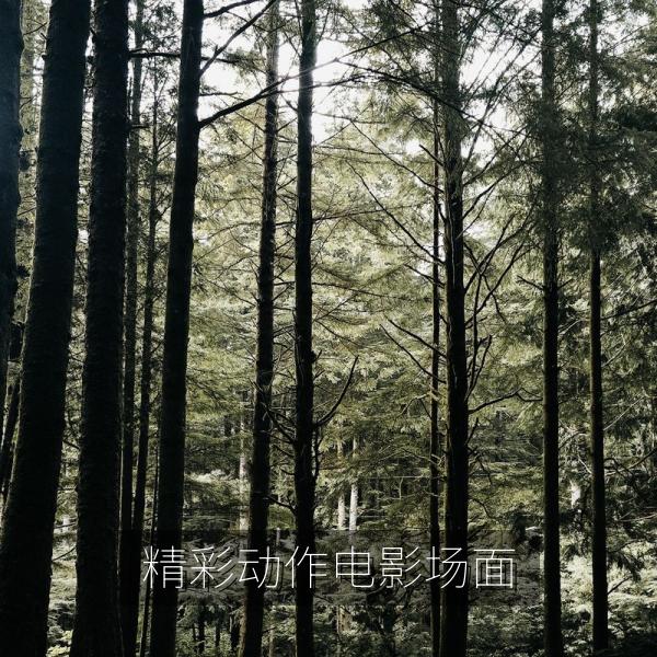 精彩动作电影场面