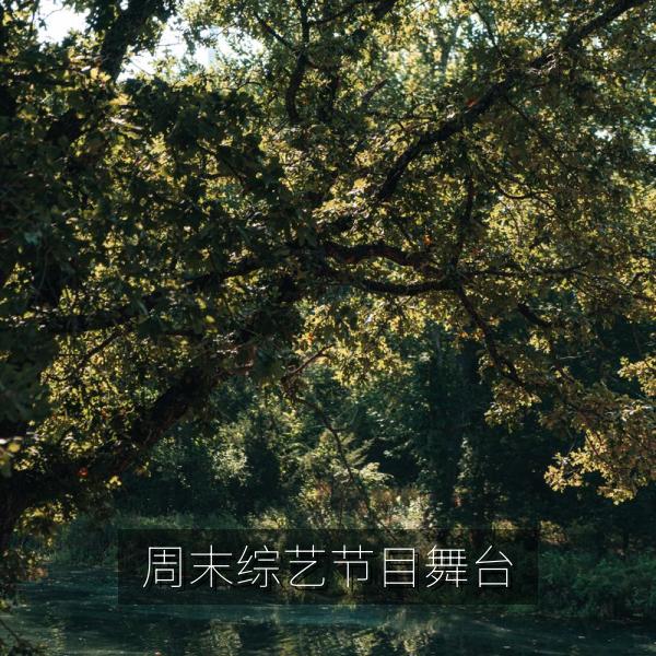 周末综艺节目舞台